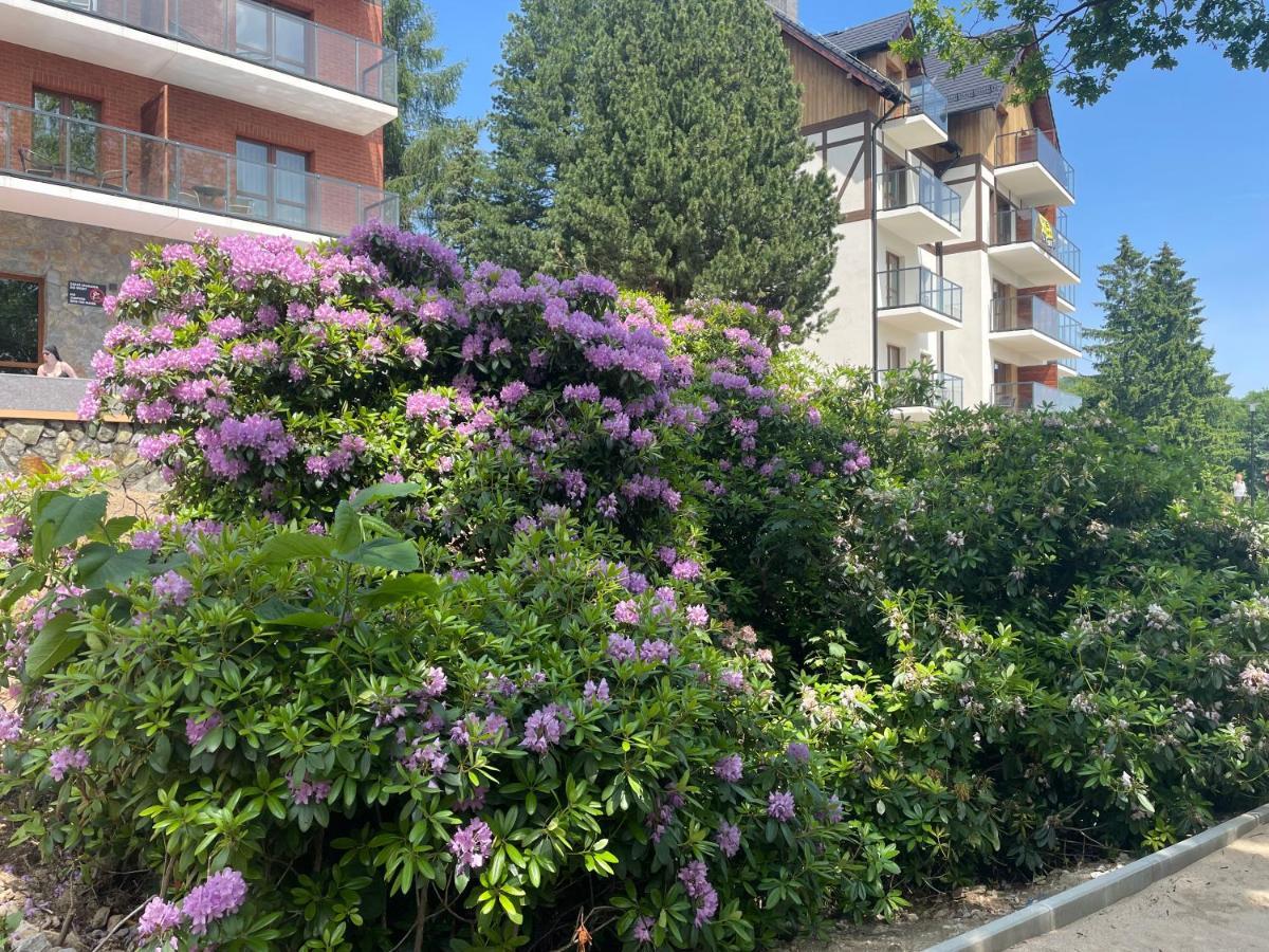 שצ'קלארסקה פוראובה Apartament N&B מראה חיצוני תמונה